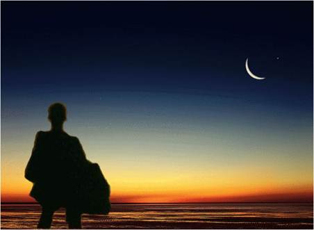 clip_image006.jpg timg (3)